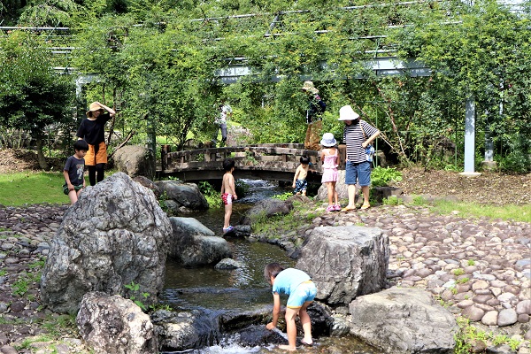平成の森公園で水遊び