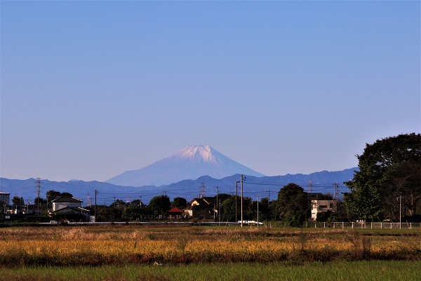 鳥羽井沼からの富士山