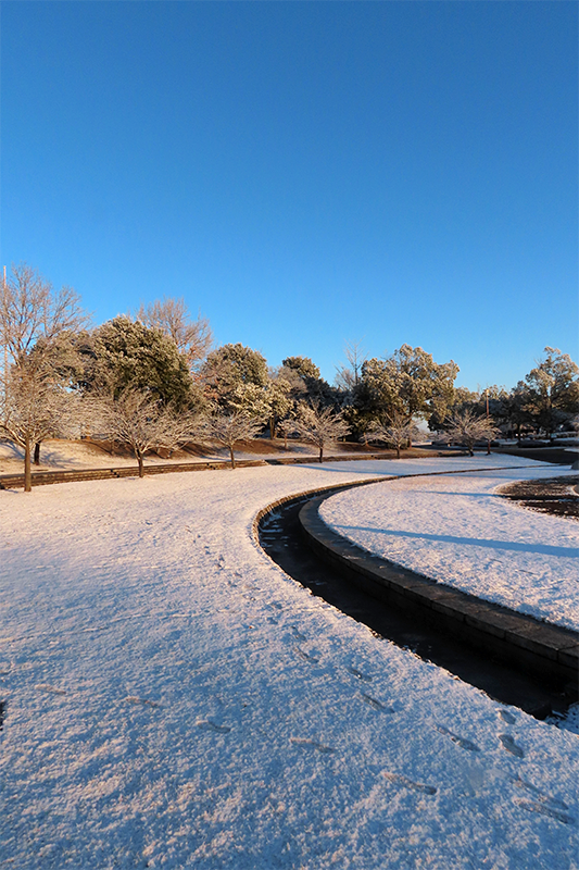 川島町 平成の森公園 雪の翌朝