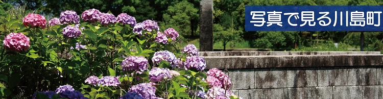 町民カメラマン写真集
