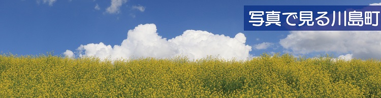 町民カメラマン写真集