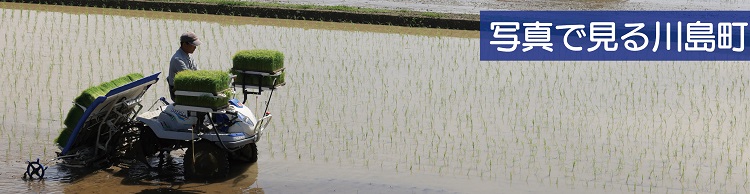 町民カメラマン写真集