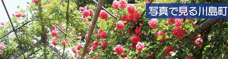 町民カメラマン写真集