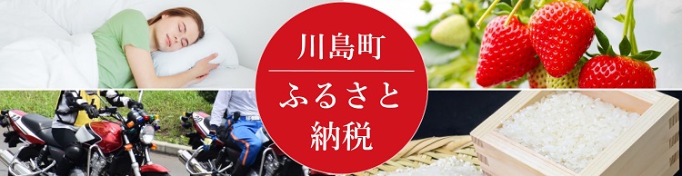 ふるさと納税