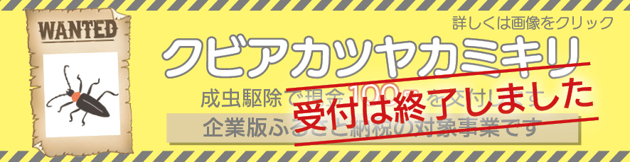 クビアカツヤカミキリ駆除奨励金
