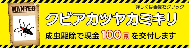 クビアカツヤカミキリ駆除奨励金