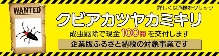 クビアカツヤカミキリ駆除奨励金