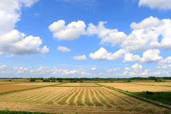 川島町 雲 田園風景