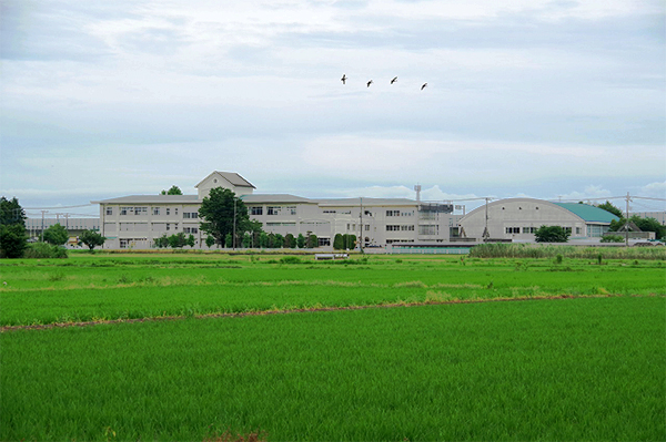 川島町 三保谷地区 田園風景