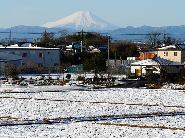 雪風景