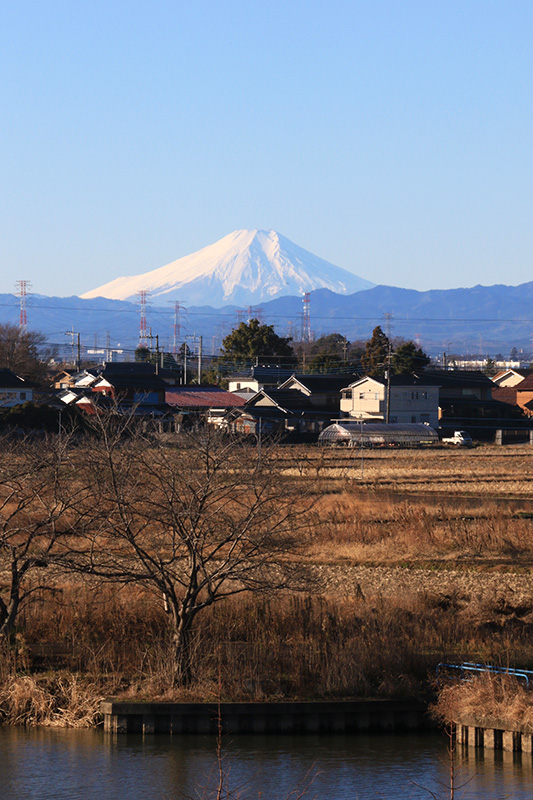 富士山（鳥羽井沼）