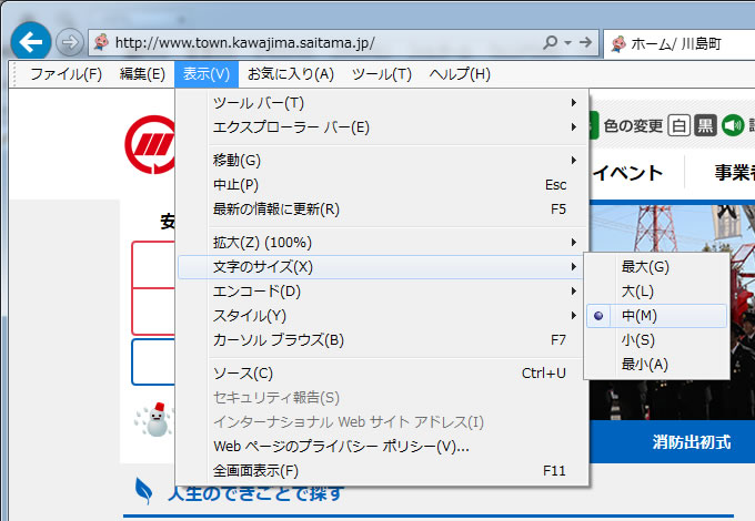 IEの表示メニュー