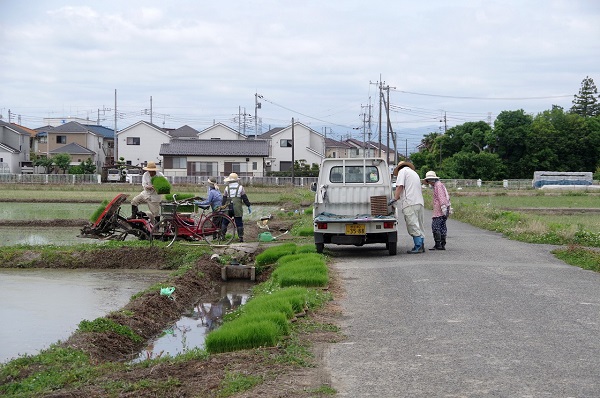 田植え真っ盛り