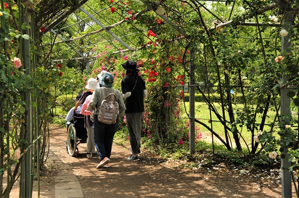 平成の森公園バラの小径
