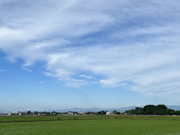 水田風景【小見野地区】