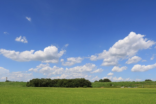 8月の空