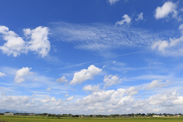 夏の雲(小見野地区).jpg