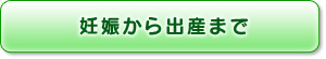 妊娠から出産まで