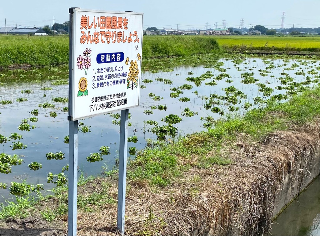 ホテイ１