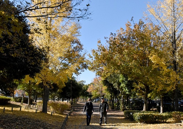 晩秋の平成の森公園