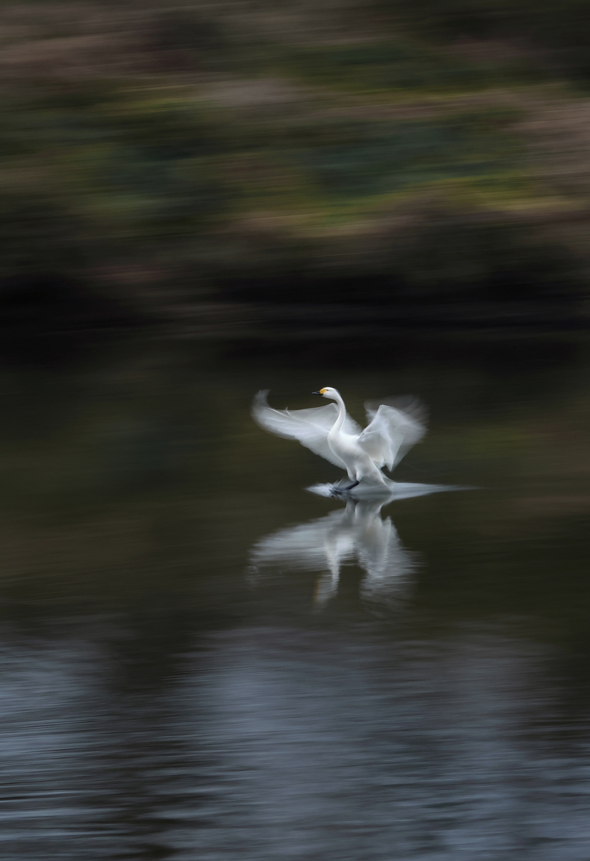 第9回川島町長賞