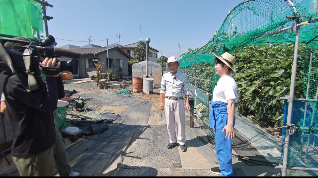いちじく４