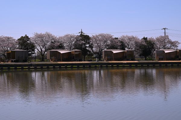 トバイヌマ　GRANDFIELD