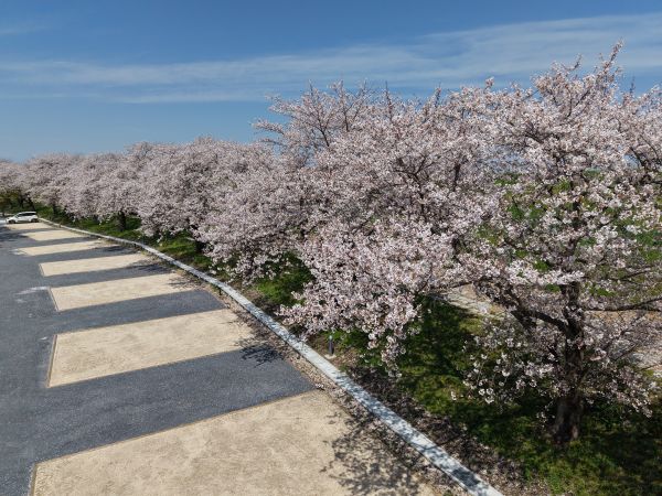 鳥羽井沼空撮