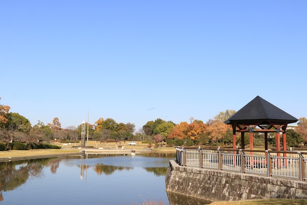 平成の森公園 水と時の広場 平成の森公園出会いの広場から見た水と時の広場