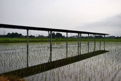 田んぼの中の太陽光発電