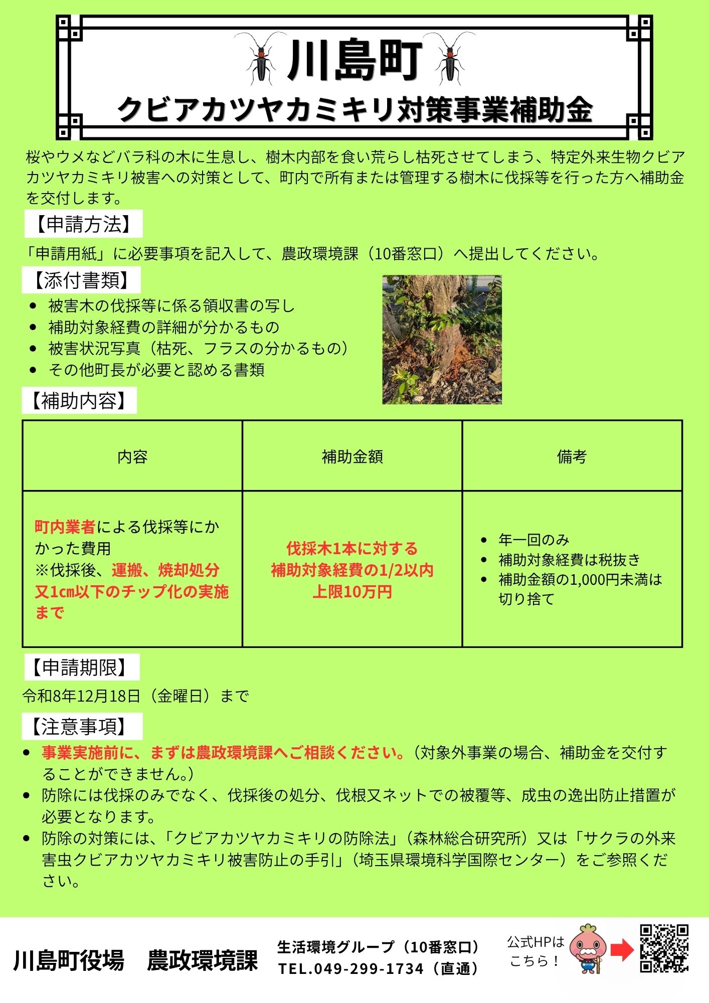 チラシ