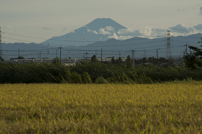 田園から台風一過の富士山を望む