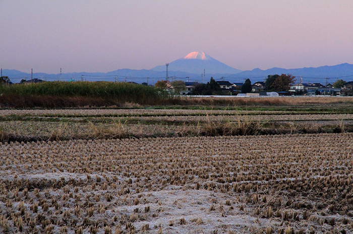 町内から望む富士山