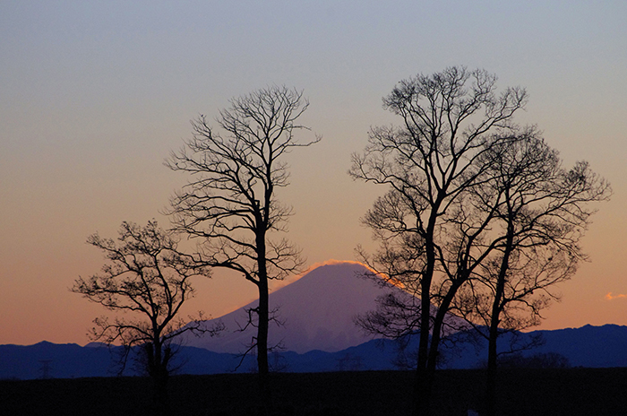 芝沼富士山