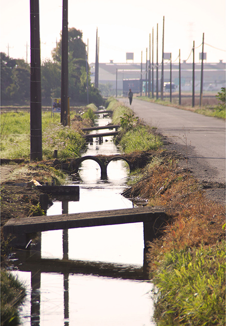 田舎道