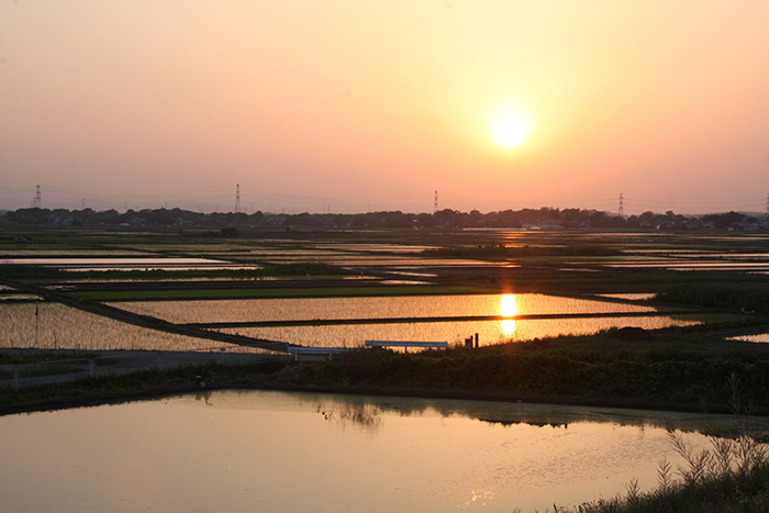 田園風景