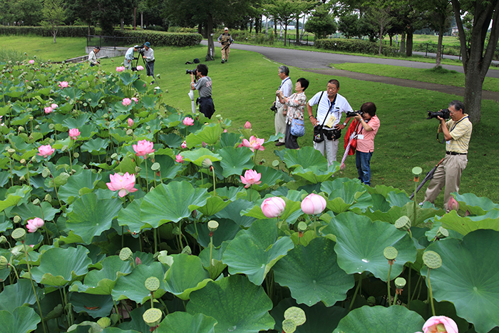 夏の体験学習「大人の写真教室」