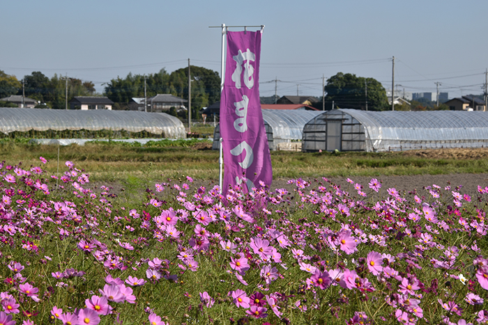 花まつり