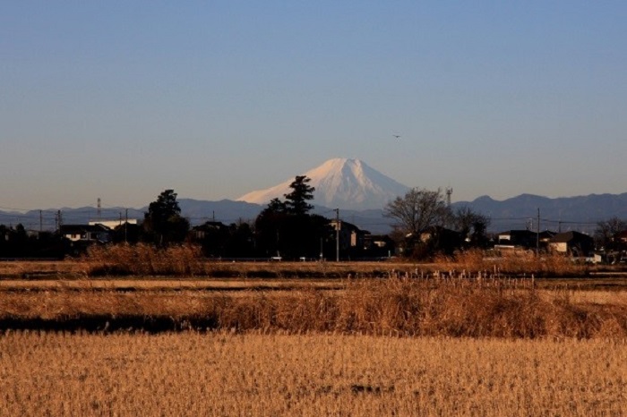 12月の富士山