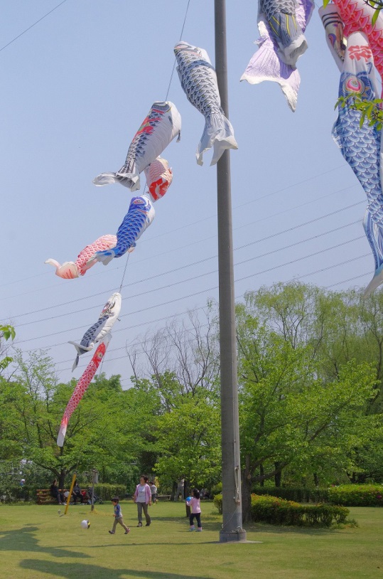 平成の森公園　鯉のぼり