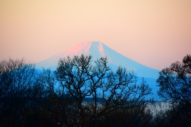 富士山