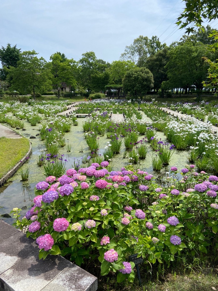 2023年6月5日 2
