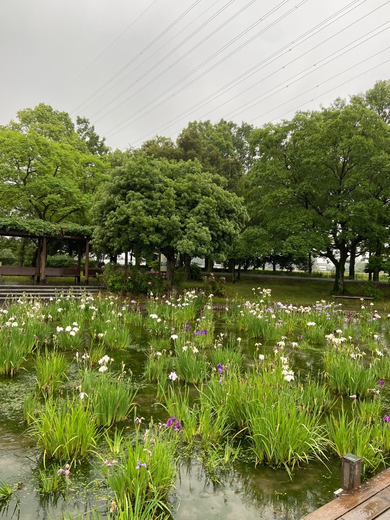 2023年6月12日 2