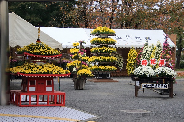 中山公民館菊香会「菊花展」