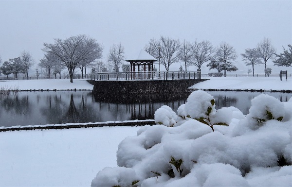 雪の平成の森公園