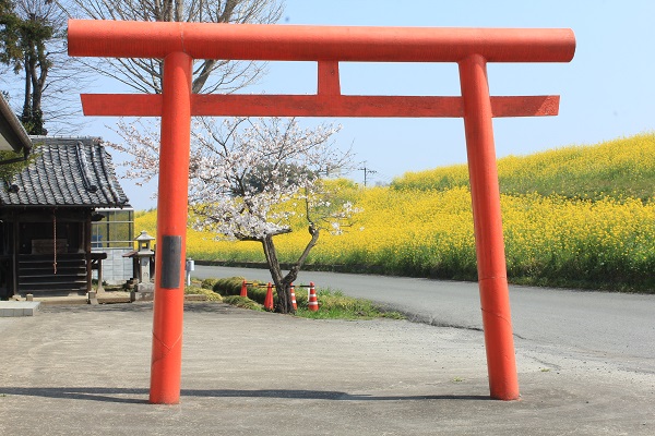 鳥羽井沼周辺