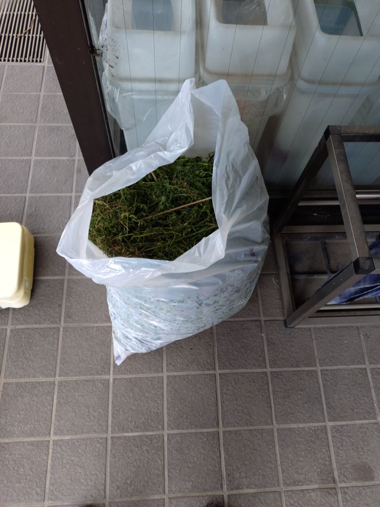 翌日