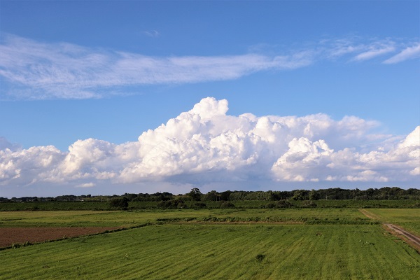 梅雨の間の青空