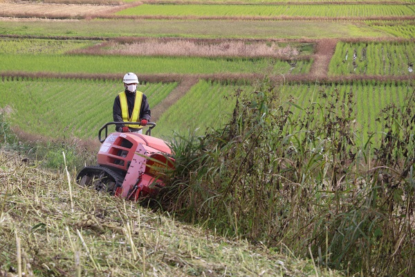 堤防の草刈り