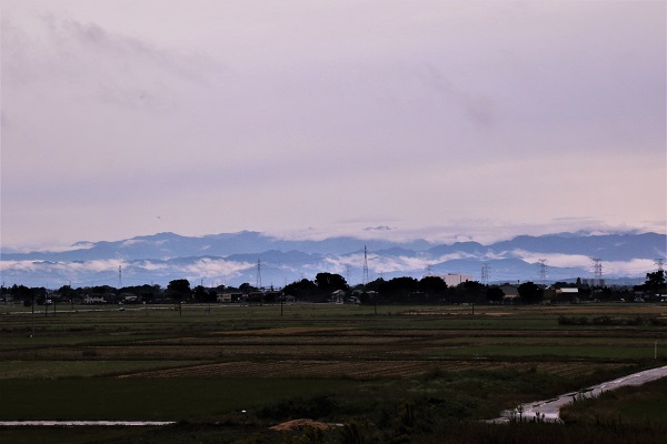 秩父連山の雲海